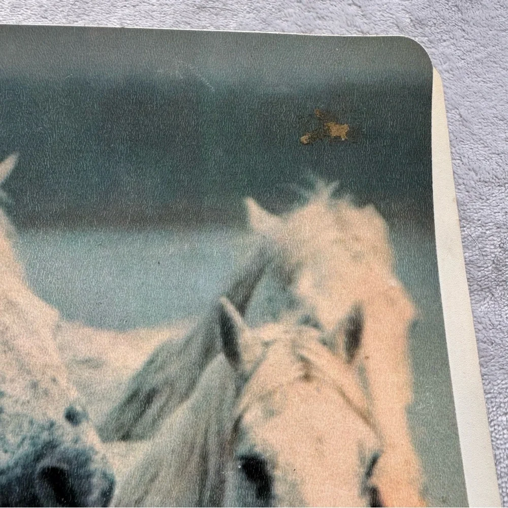 Vintage‎ 1977 Colad Horses Flexiprint Folder ¾” Binder Buffalo NY USA